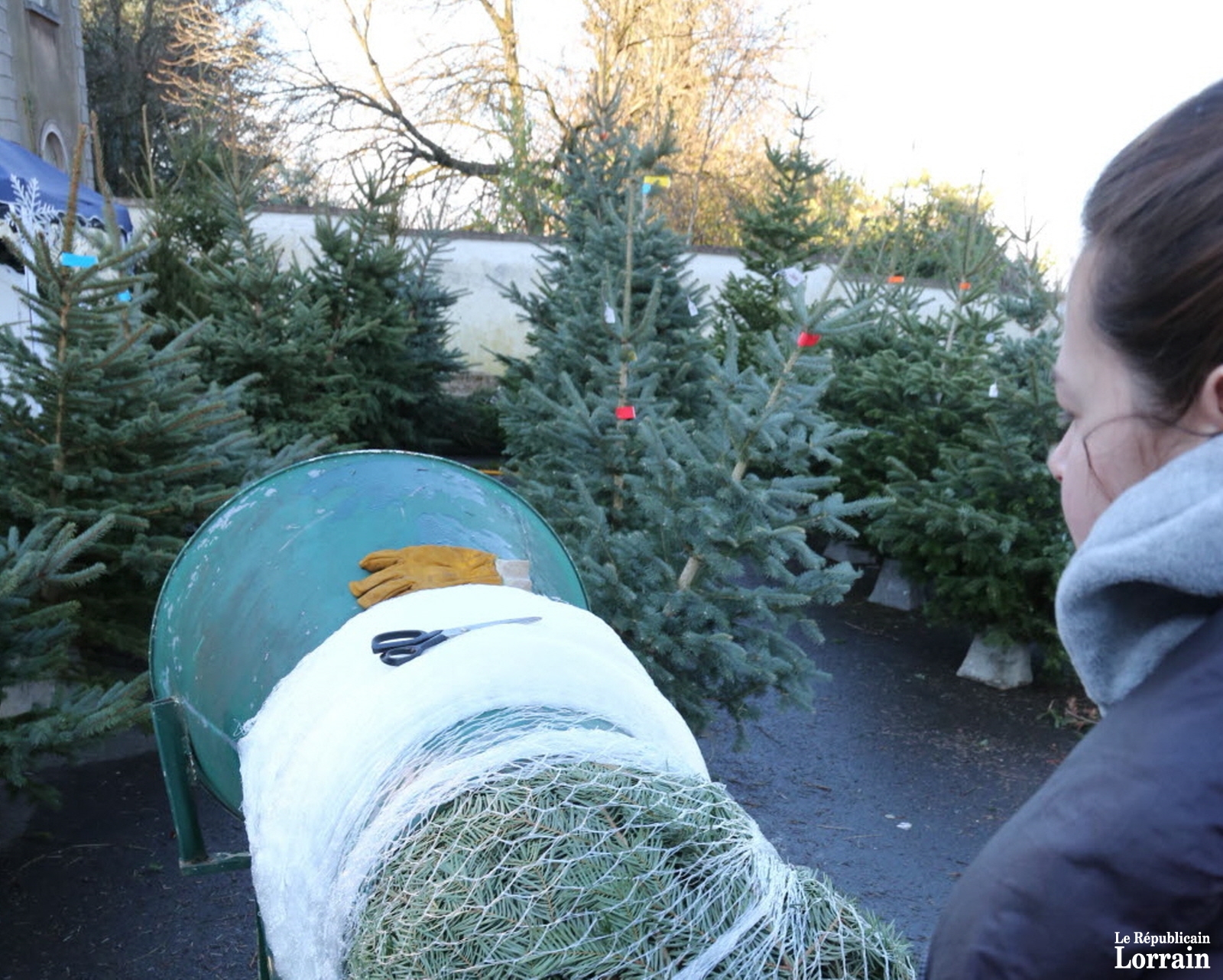 le-choix-du-sapin-doit-etre-un-investissement-durable-et-non-ephemere-photo-archives-rl-rene-bych-1481733871.jpg le-choix-du-sapin-doit-etre-un-investissement-durable-et-non-ephemere-photo-archives-rl-rene-bych-1481733871.jpg