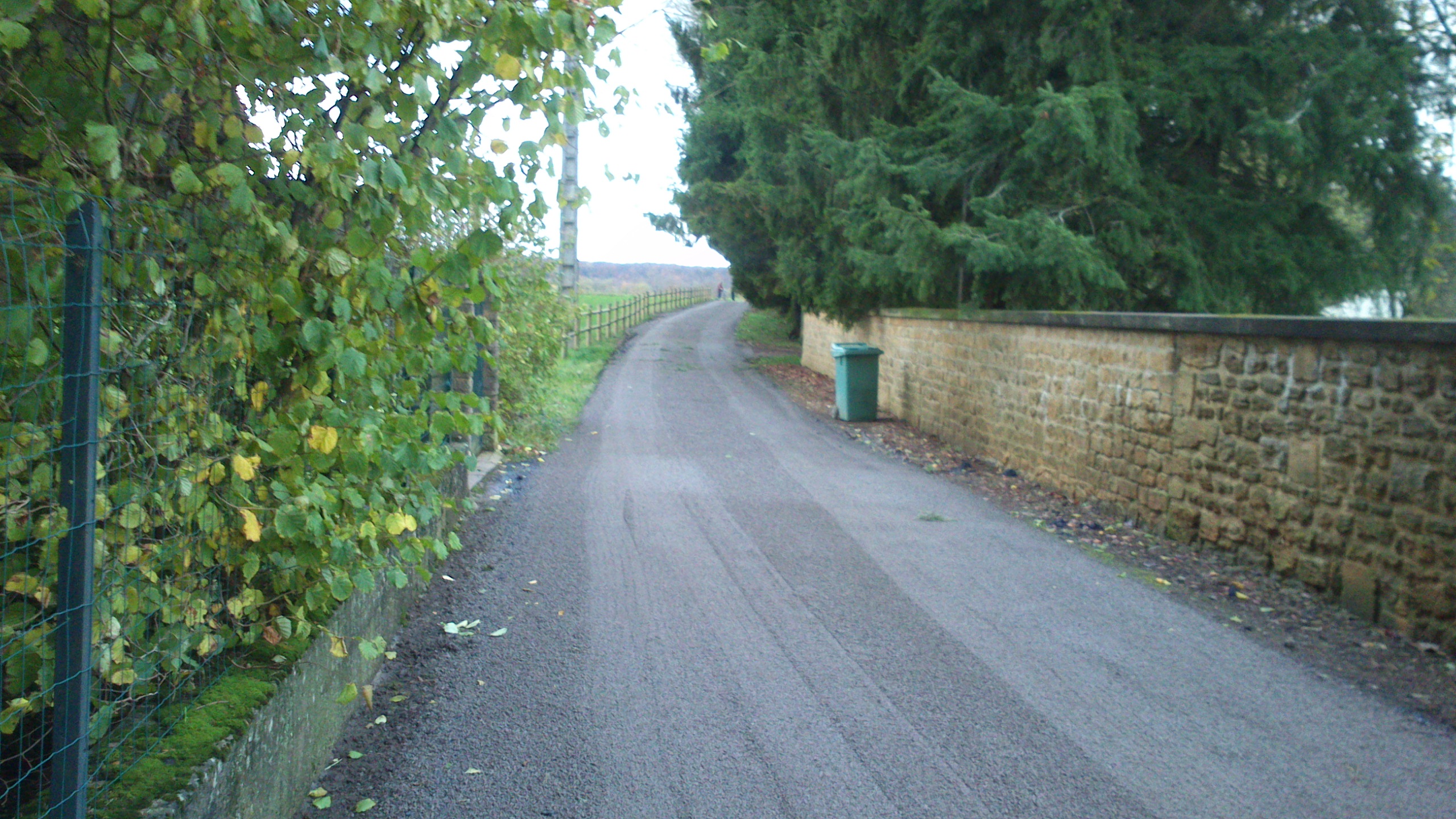 DSC_0009.jpg DSC_0009.jpg