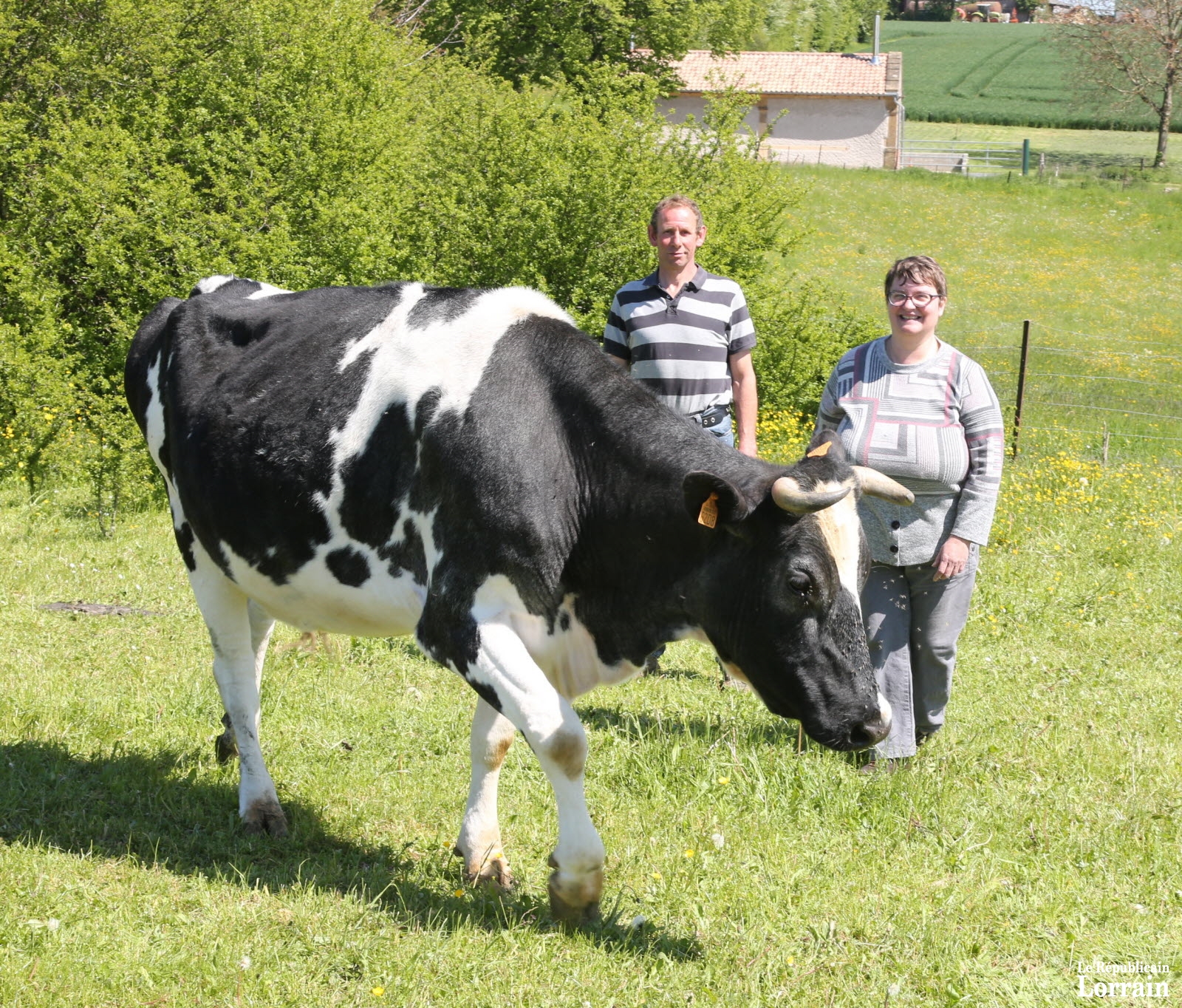 c-est-la-premiere-fois-que-le-couple-qui-a-une-quinzaine-de-vaches-laitieres-participera-a-la-fete-du-lait-photo-rene-bych-1557851437.jpg c-est-la-premiere-fois-que-le-couple-qui-a-une-quinzaine-de-vaches-laitieres-participera-a-la-fete-du-lait-photo-rene-bych-1557851437.jpg