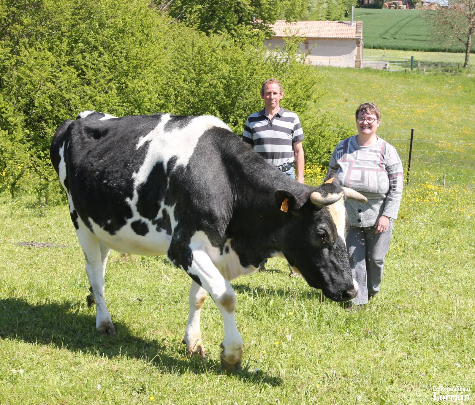 c-est-la-premiere-fois-que-le-couple-qui-a-une-quinzaine-de-vaches-laitieres-participera-a-la-fete-du-lait-photo-rene-bych-1557851437.jpg