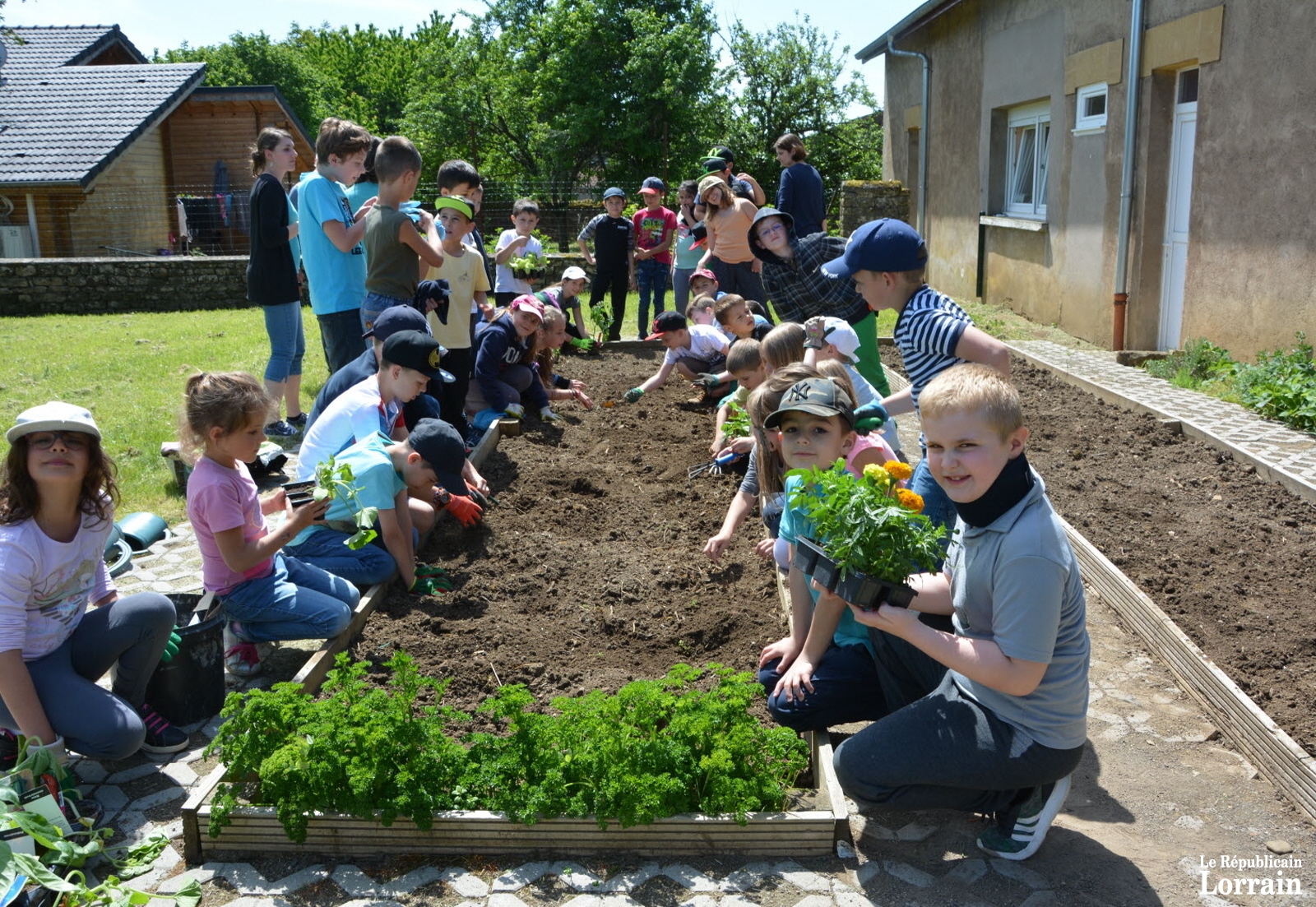 les-enfants-sont-impatients-d-attaquer-la-plantation-des-differents-legumes-achetes-par-pierre-blondel-photo-rl-1527786033.jpg