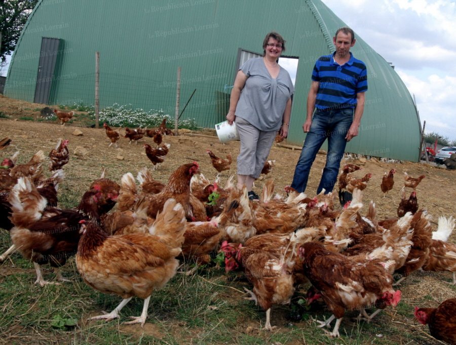 les-poules-un-pari-risque-mais-reussi-puisque-les-oeufs-font-le-bonheur-des-clients-sur-les-marches-comme-au-magasin-photos-etienne-jaminet.jpg les-poules-un-pari-risque-mais-reussi-puisque-les-oeufs-font-le-bonheur-des-clients-sur-les-marches-comme-au-magasin-photos-etienne-jaminet.jpg