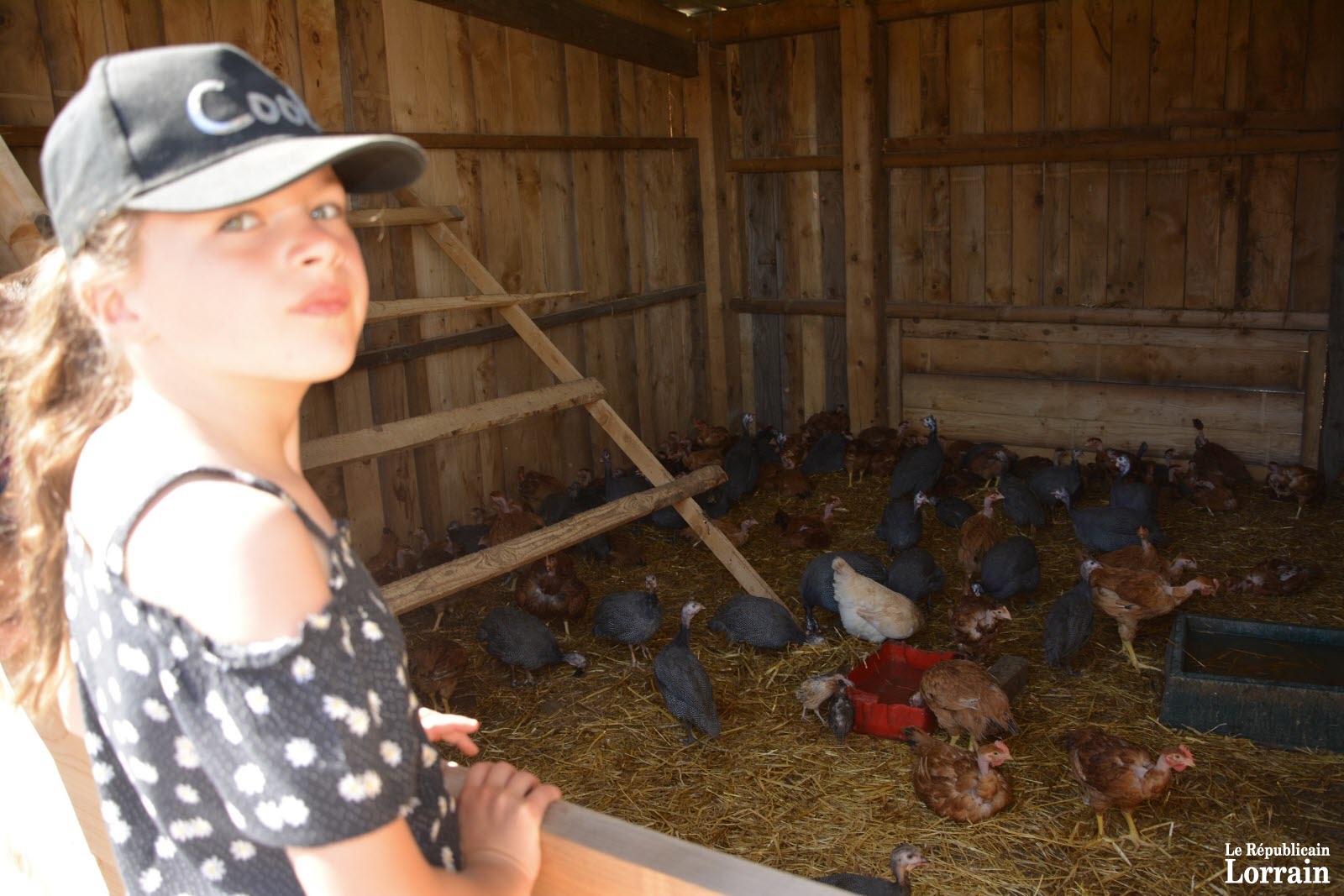 quot-elles-sont-marrantes-les-poules-quot-photo-rl-1559738581.jpg quot-elles-sont-marrantes-les-poules-quot-photo-rl-1559738581.jpg